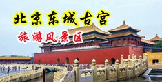 农村女人大黑逼BBB中国北京-东城古宫旅游风景区